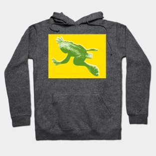 Toy frog Hoodie